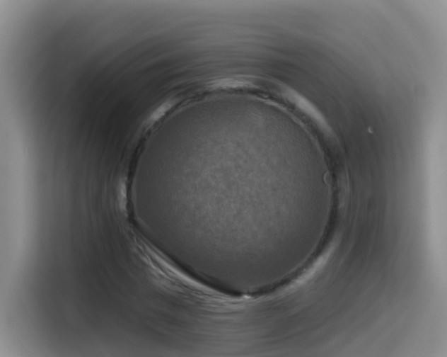 X0000114610777200910201152