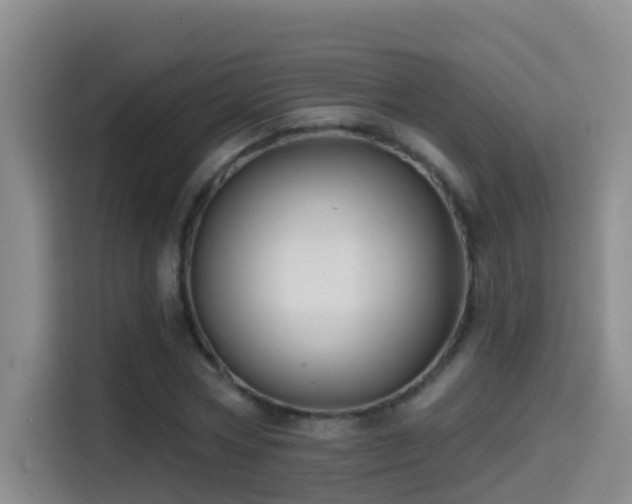 X0000114610778200910201152