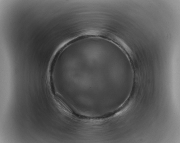 X0000114610779200910201152