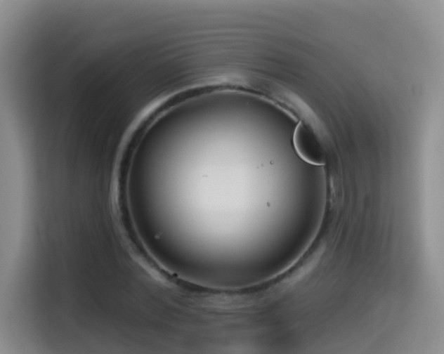 X0000114610780200910201152