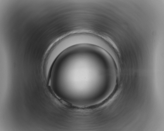 X0000114610781200910201152