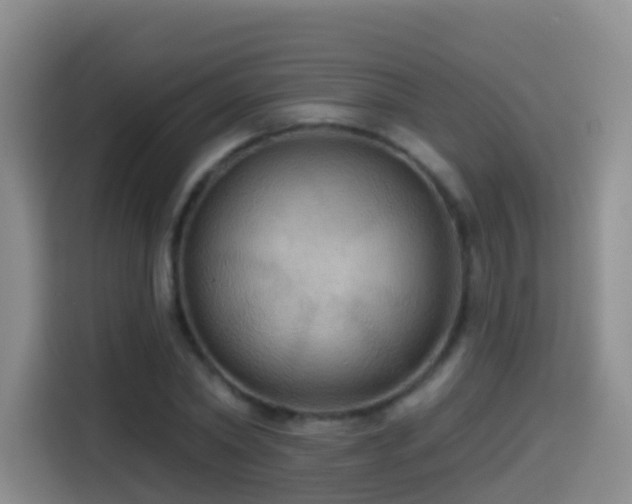 X0000114610782200910201152