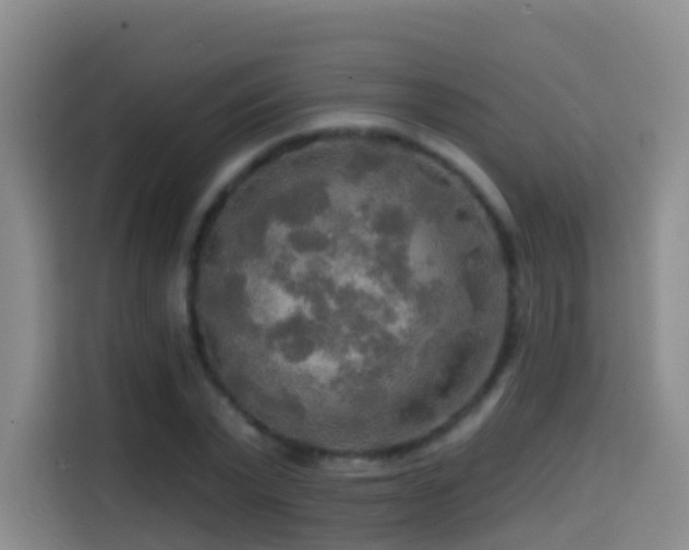 X0000114610783200910201151