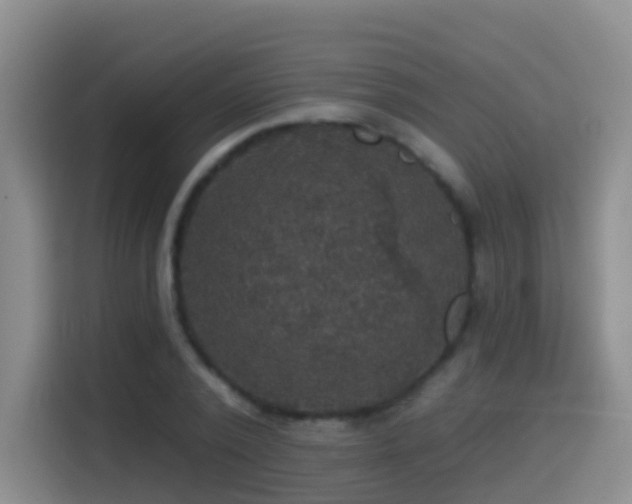 X0000114610784200910201151