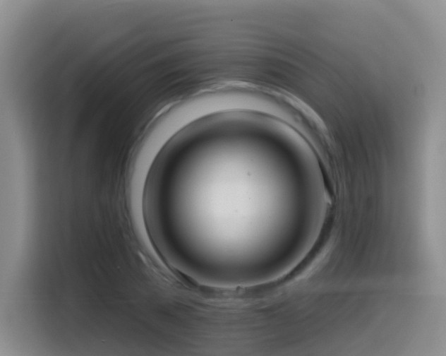 X0000114610785200910201151