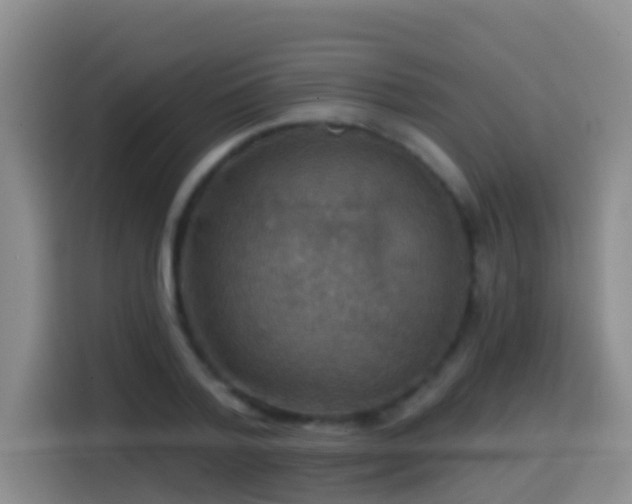 X0000114610788200910201151