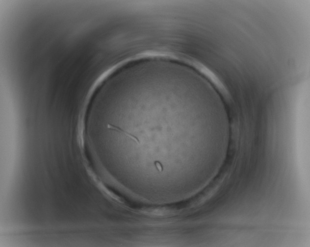 X0000114610791200910201151