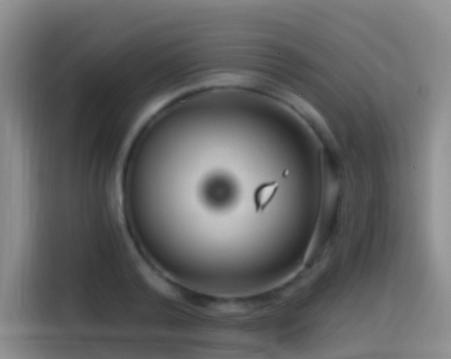 X0000114610792200910201151