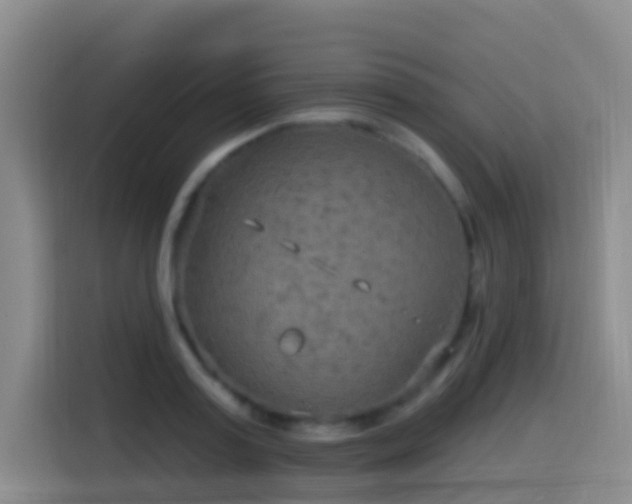 X0000114610795200910201151