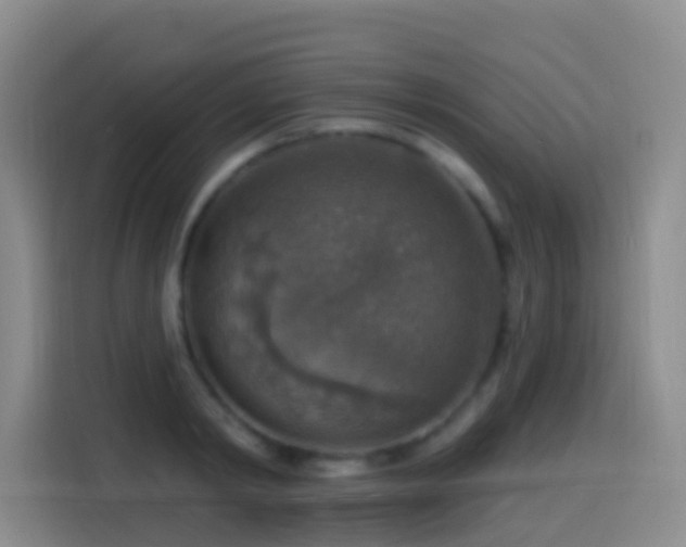 X0000114610798200910201151