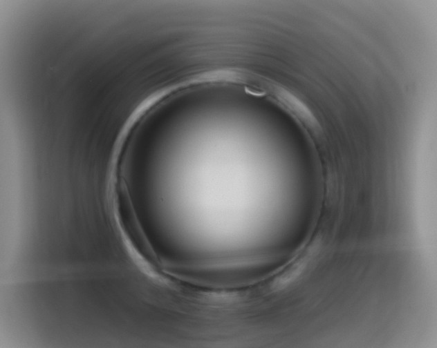 X0000114610800200910201151