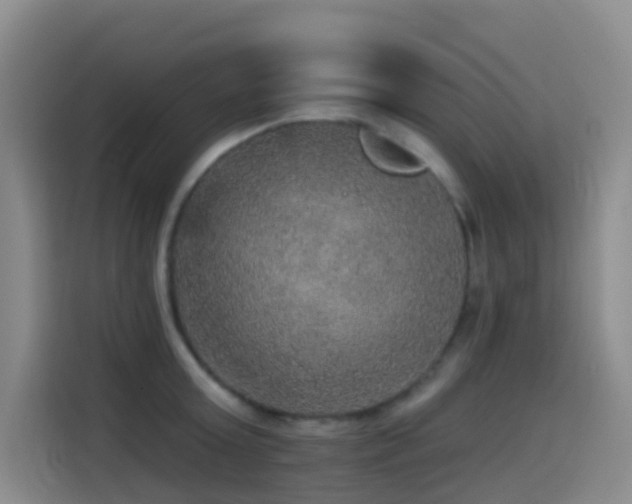 X0000114610803200910201151