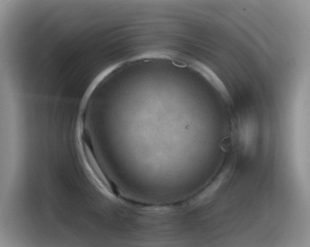 X0000114610804200910201151