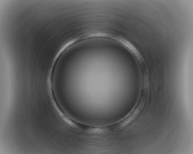 X0000114610806200910201151