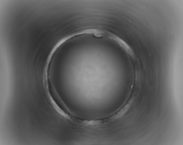 X0000114610808200910201151