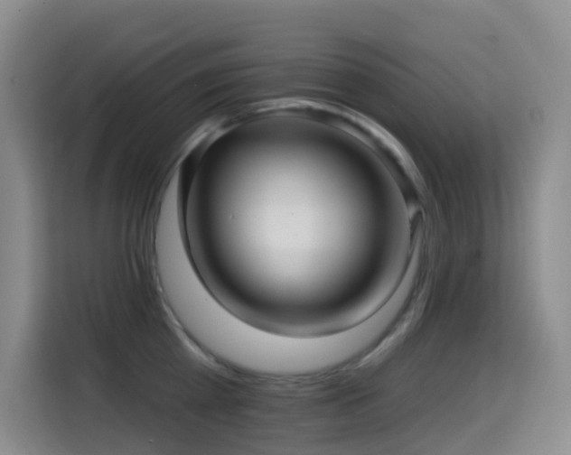 X0000114610809200910201151