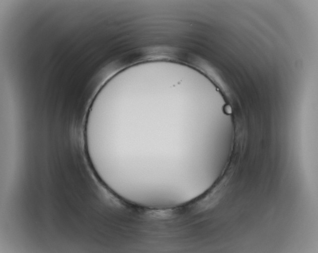 X0000114610810200910201151