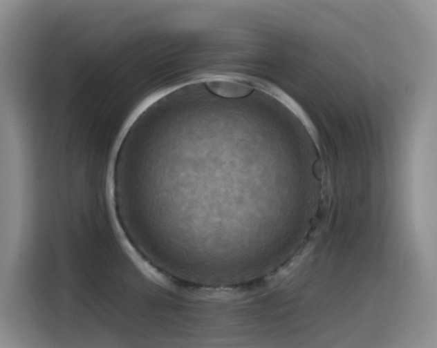 X0000114610811200910201151