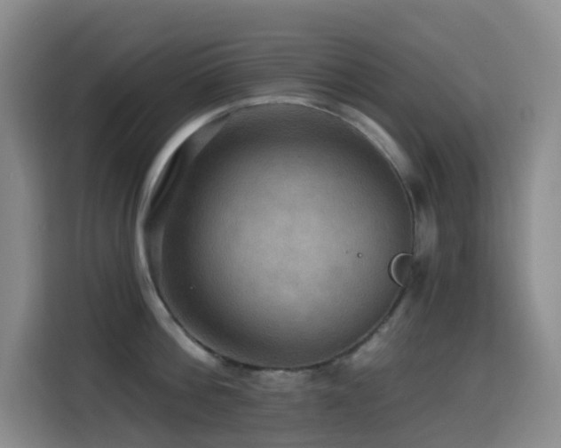 X0000114610812200910201151