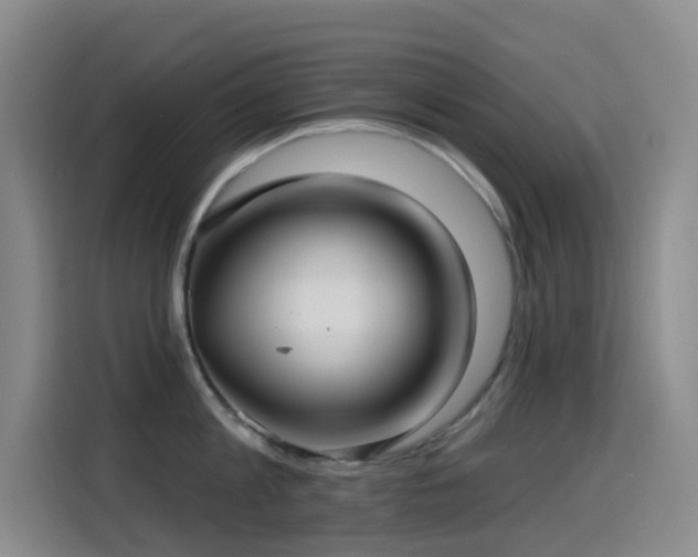 X0000114610813200910201151