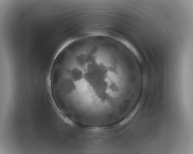 X0000114610814200910201151