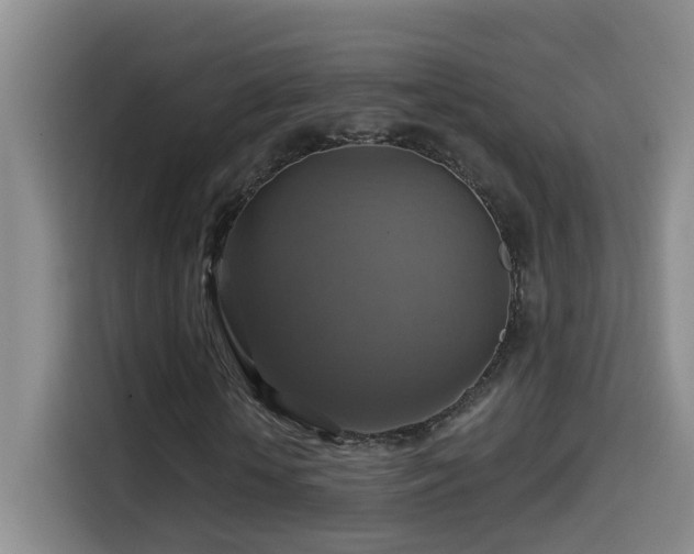 X0000114610818200910201150