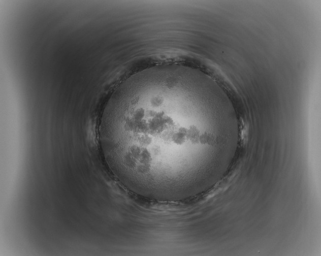 X0000114610819200910201150