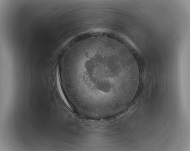 X0000114610821200910201150