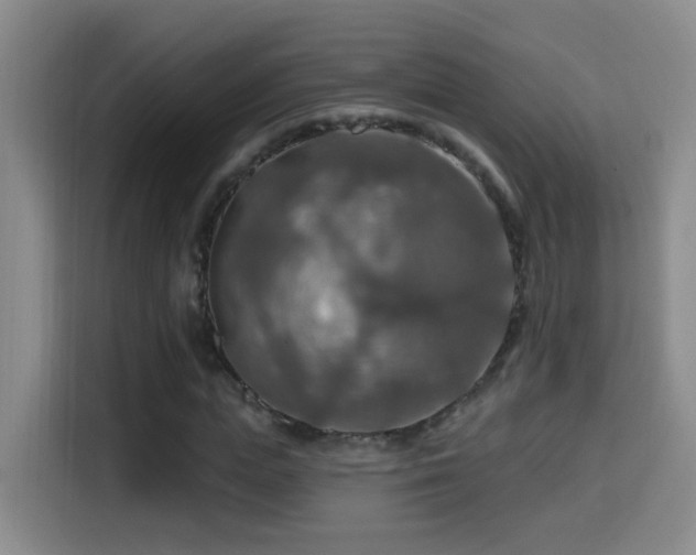 X0000114610823200910201151