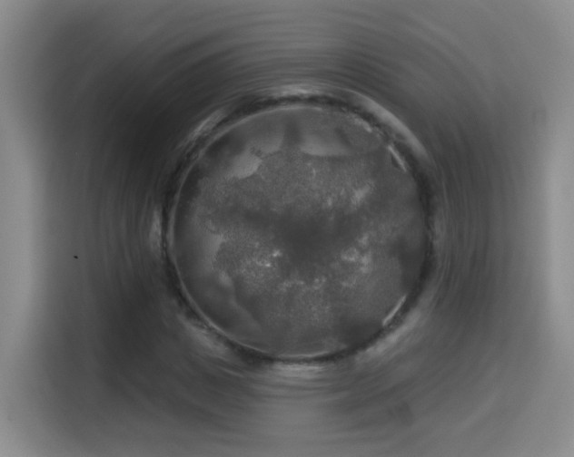 X0000114610825200910201151