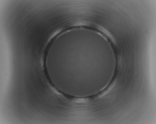 X0000114610826200910201151