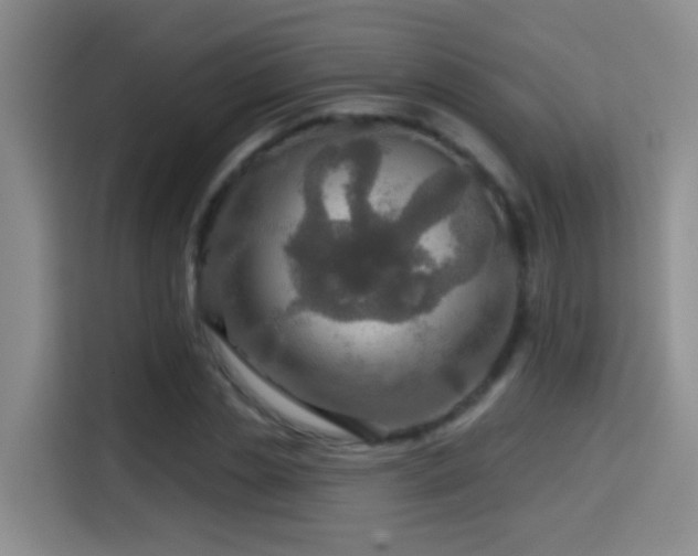 X0000114610829200910201151