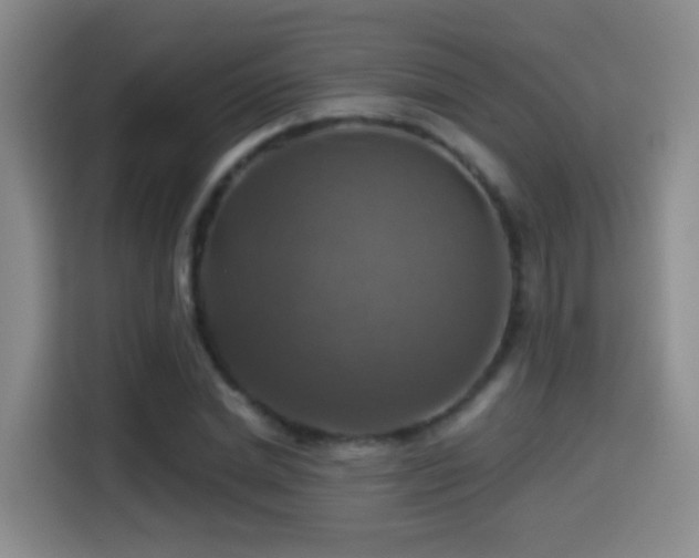 X0000114610830200910201151