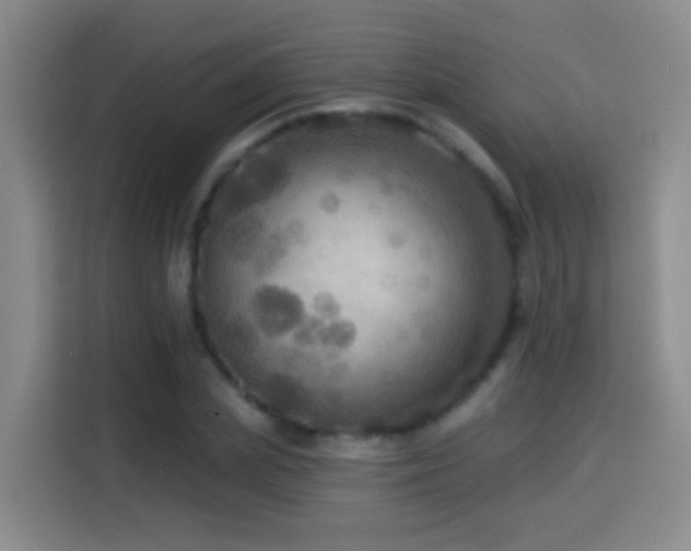 X0000114610831200910201151