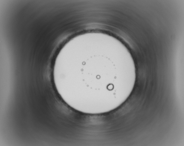 X0000114610832200910201151