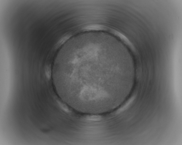 X0000114610833200910201151