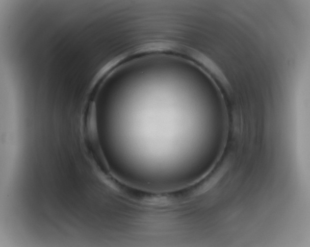 X0000114610834200910201151