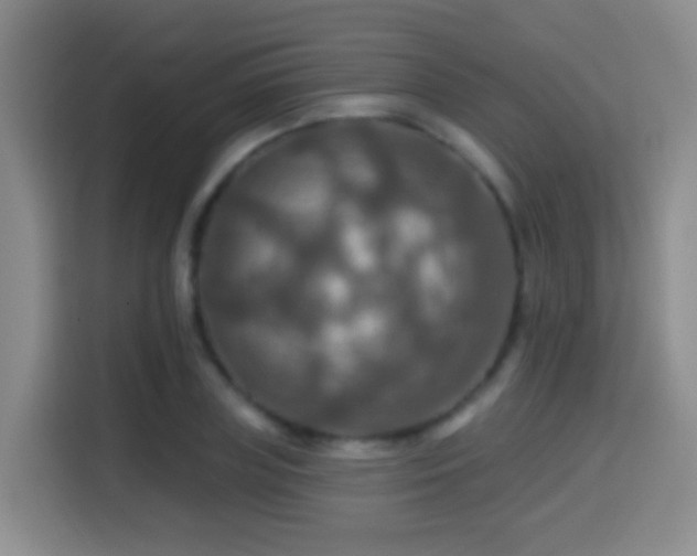 X0000114610835200910201151