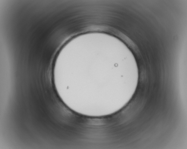 X0000114610836200910201151