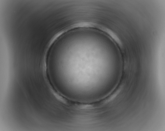 X0000114610837200910201151