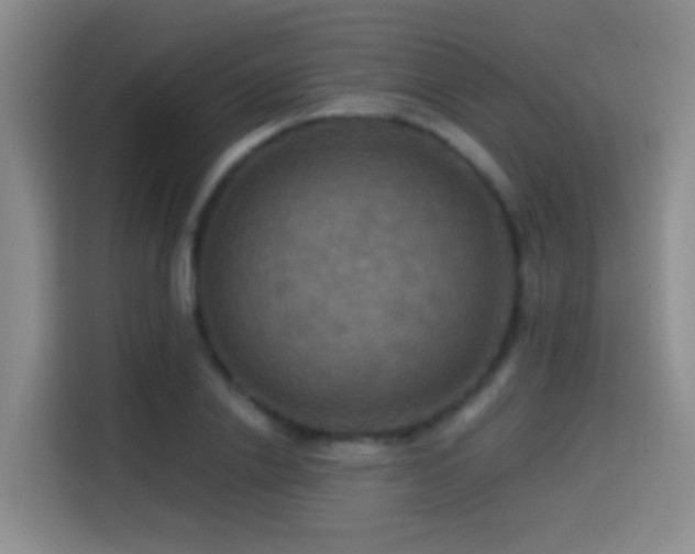 X0000114610838200910201151