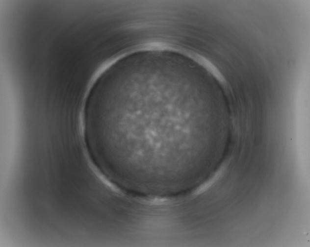 X0000114610839200910201151