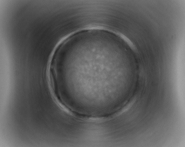 X0000114610840200910201151