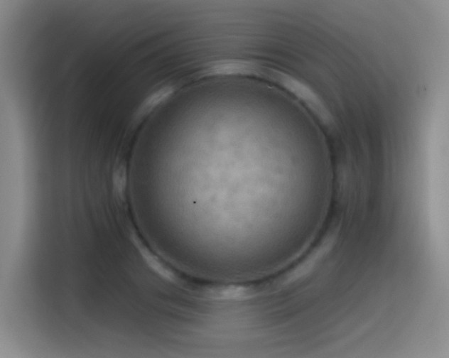 X0000114610841200910201151