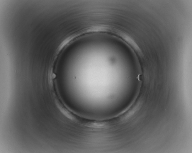 X0000114610842200910201151