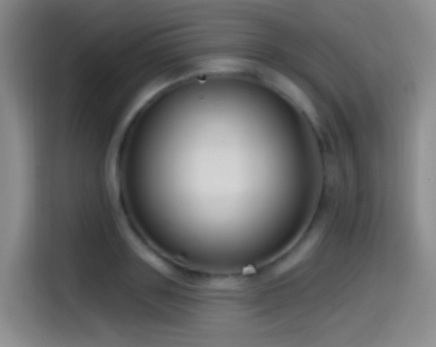 X0000114610843200910201151