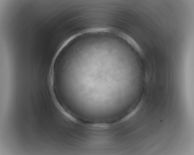 X0000114610844200910201151