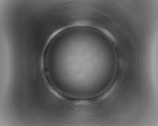 X0000114610846200910201151