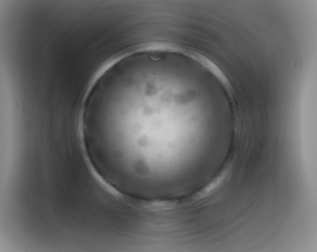 X0000114610847200910201151