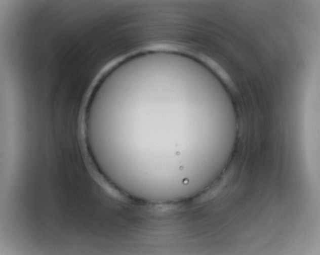 X0000114610848200910201151